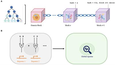 Blockchain Biology